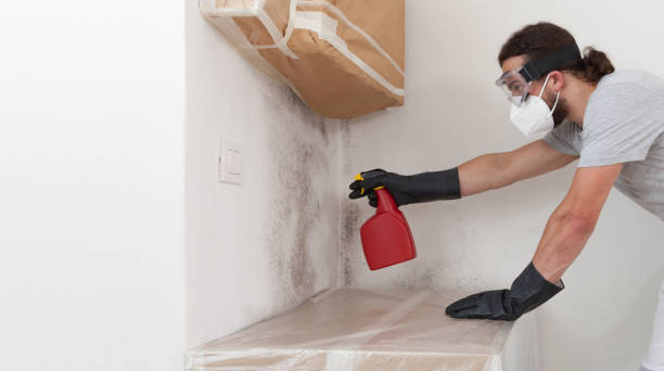 Professional Mold Remediation technician working in Martinsville, VA