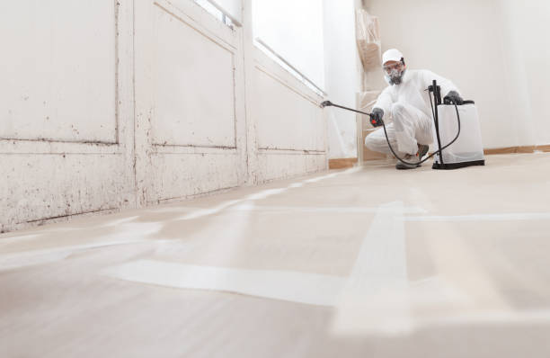 24/7 Emergency Mold Remediation experts in Martinsville, VA