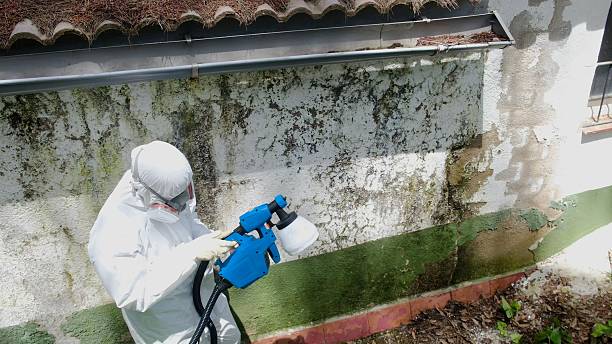 Top rated local Mold Remediation specialists in Martinsville, VA